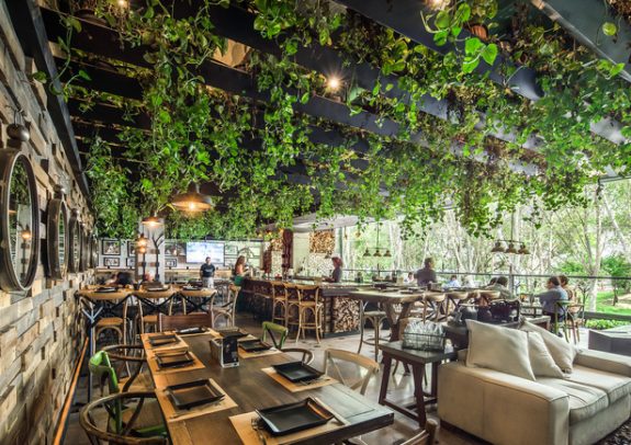 la_magia_de_adentrarse_en_la_naturaleza_2_531_615x